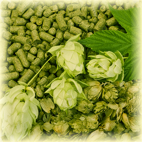 PERLE ORGANIC (AT) Pellets T90 (5KG)