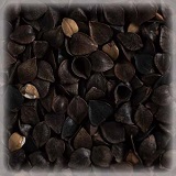 CHÂTEAU BUCKWHEAT MALT