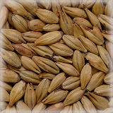 CHÂTEAU RED INTENSE